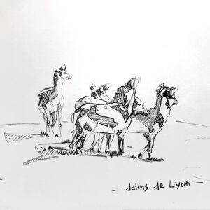 Daims de Lyon #1