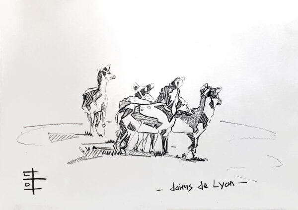 Daims de Lyon #1