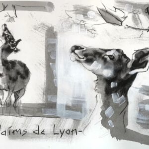 Daims de Lyon #3