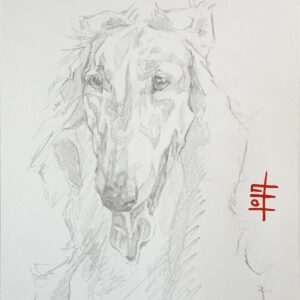 Borzoi