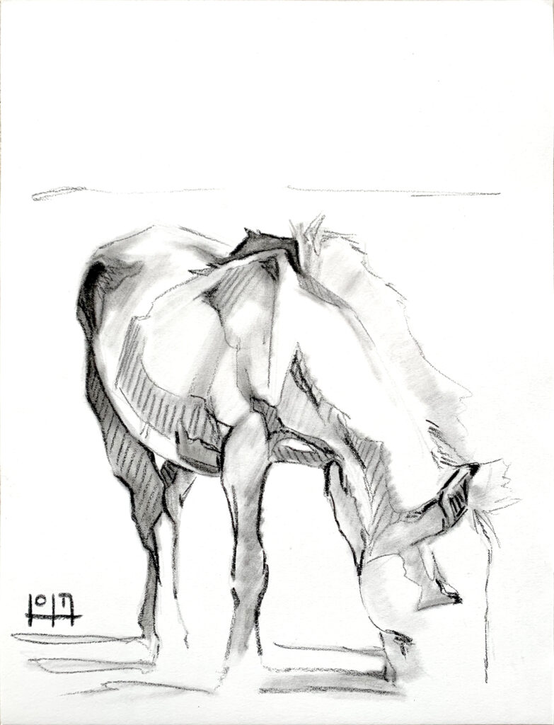 Petit cheval camarguais