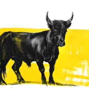 Taureau Camargue