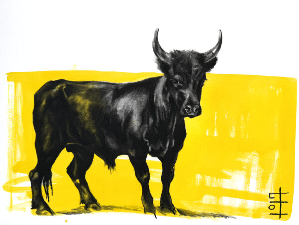 Taureau Camargue