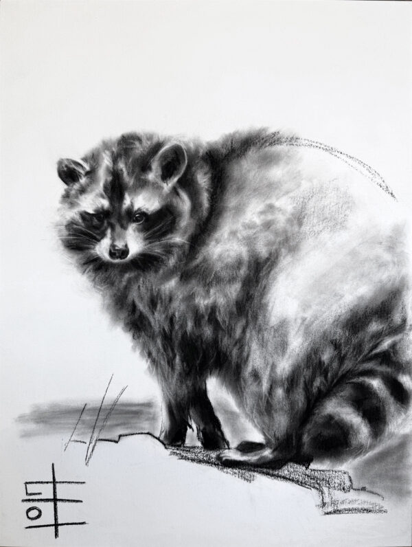 Trash panda