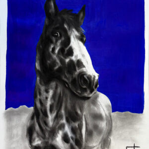 Once the zebra coughs